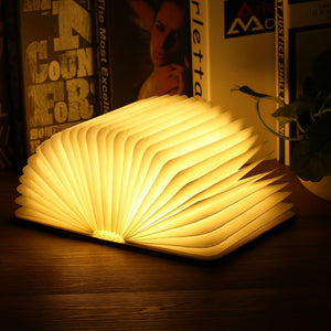 Portable Book Lamp