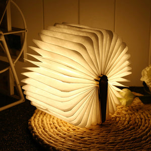 Portable Book Lamp