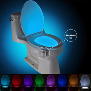 Toilet Night Light